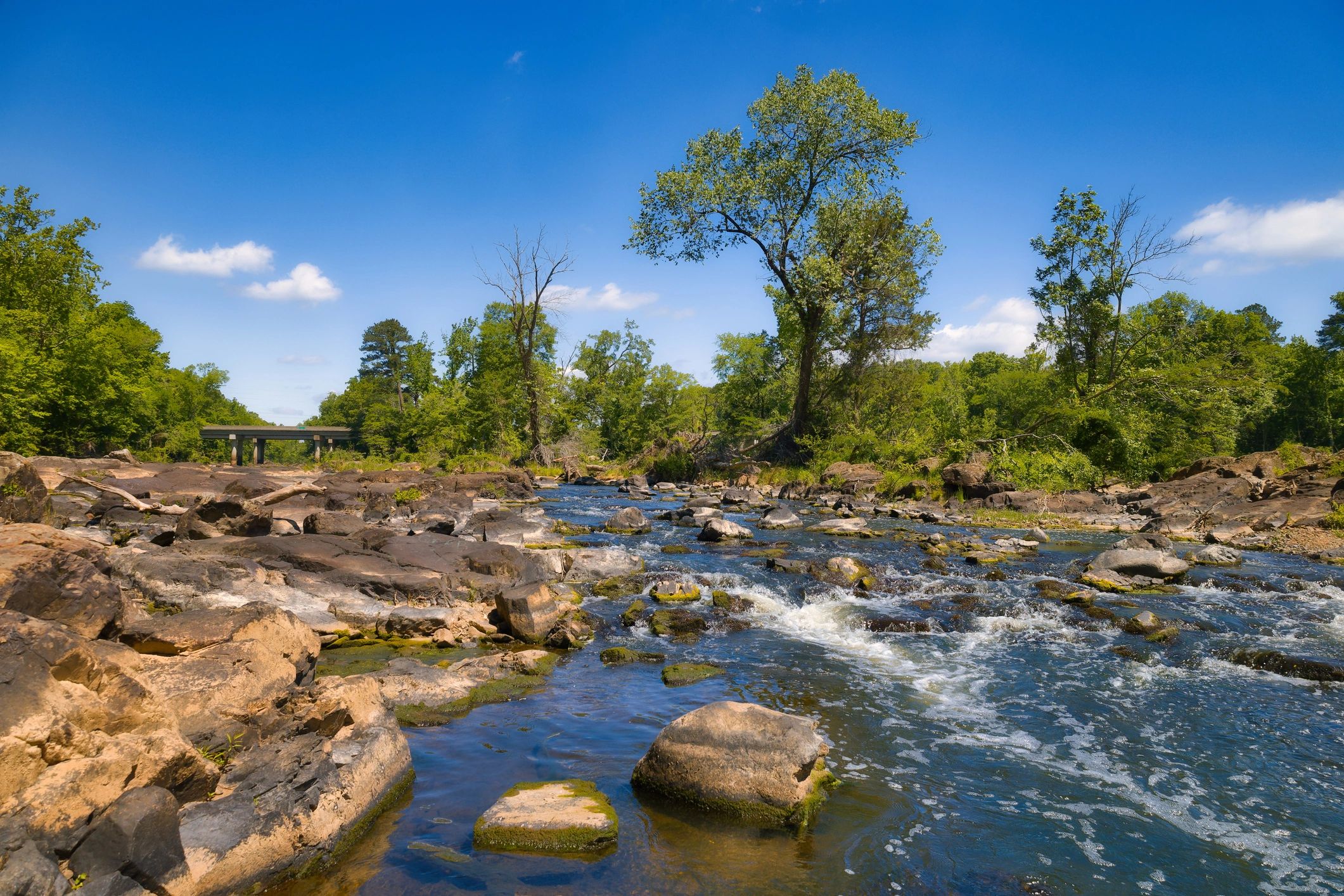 River landscape used as supporting visual for testimonial section